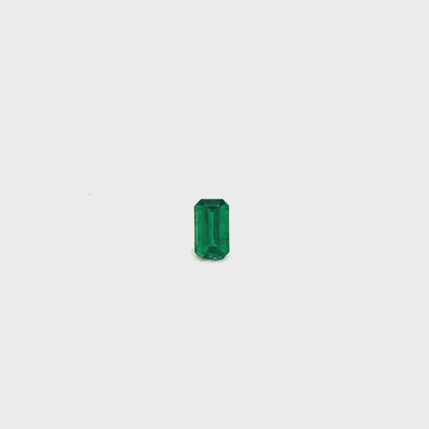 5.08x2.94x2.40mm Octagon Emerald (1 pc 0.24 ct)